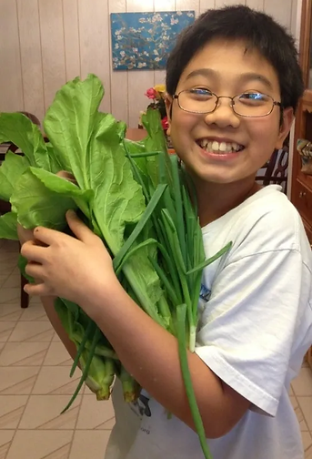 Alan Hu picking greens