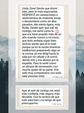 Certificación Barras historias instagram.jpg