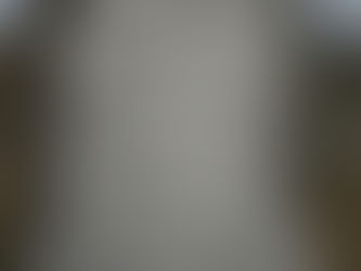 SARAH ELIZABETH WETZEL MAY 20, 1810, to NOVEMBER 17, 1880.   