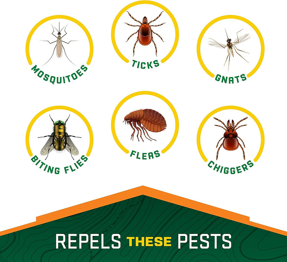 Thumbnail: Repel Plant-Based Lemon Eucalyptus Insect Repellent, Mosquito Repellent, Pump S