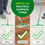 Thumbnail: -Swiffer Sweeper 2-in-1 Mops for Floor Cleaning, Dry and Wet 7900 Star Points