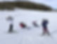 Kids Skiing.jpg
