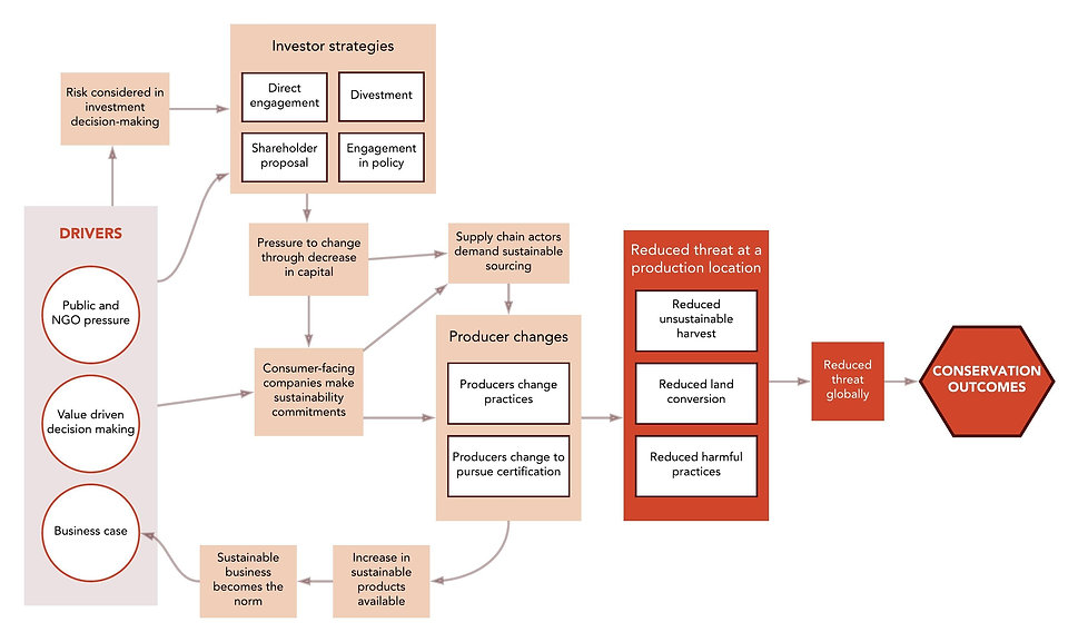 Combined Theory of Change.jpeg