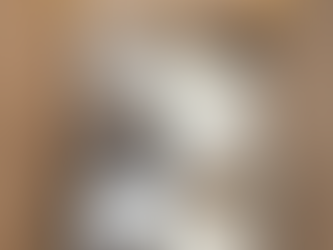 Packaging and Shipping...