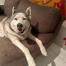 Image by Annie Spratt