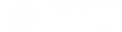 Logo_Phyathai_white_edited.png