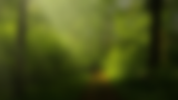 Poster (1).png