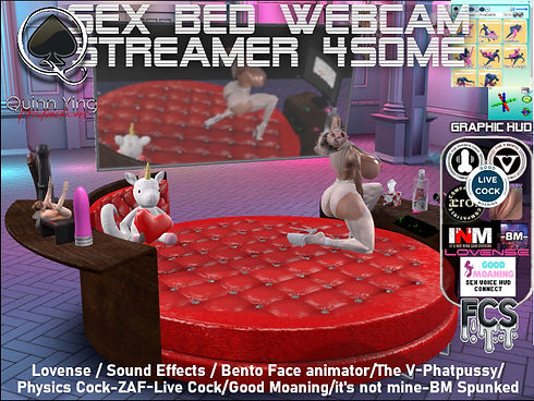 Sex Bed Webcam Streamer vendor 2.jpg
