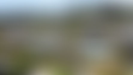 Bellevue Closes in as Most Expensive City to Live in United States