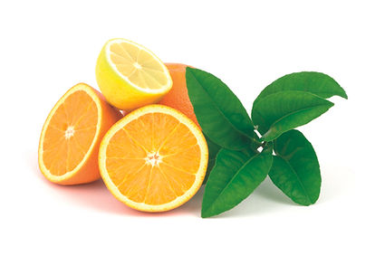Oranges & Lemons.jpg