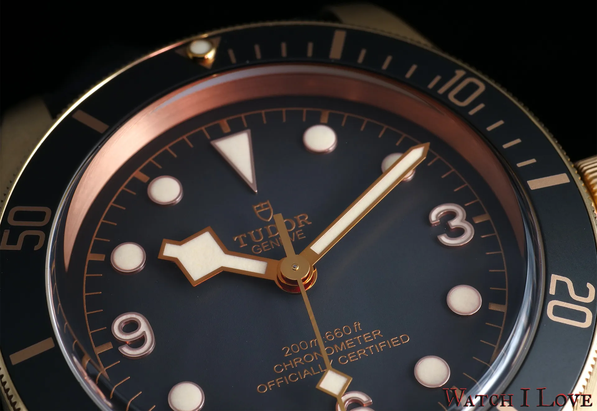 tudor.webp