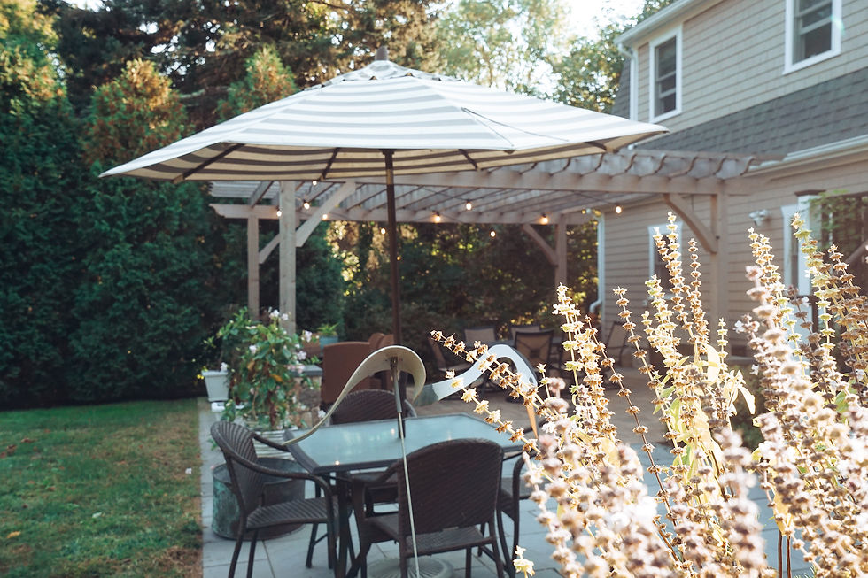 Pemberton-Pergola-Downes-Building-Visual