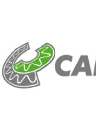 04122017114528-cartocor.jpg