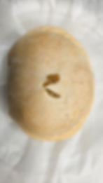VEGETABLE PASTY