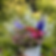 sarida 3_edited.png