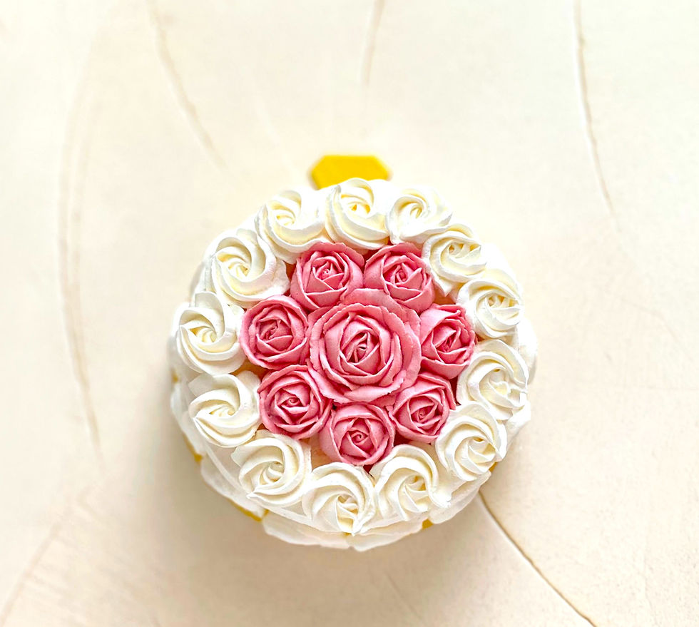 サムネイル： Gâteau princesse ＊ フロマージュのムースケーキ