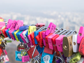 ¿Qué tienes que perder?