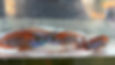 Thumbnail: Eureka Red 