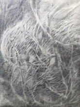image1-1.jpeg