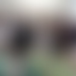 VISITA DO EXÉRCITO DE SALVAÇÃO AO COLÉGIO EPISCOPAL DA IGREJA METODISTA DO BRASIL