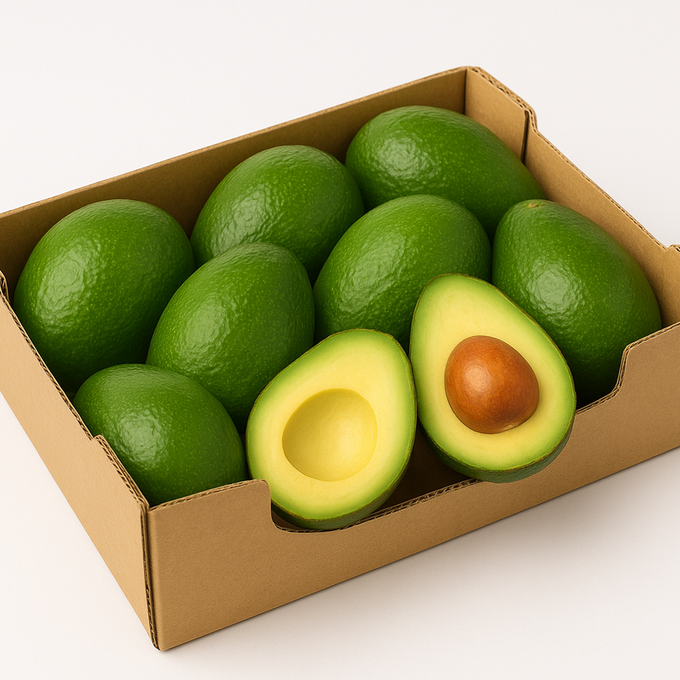 Box ecologica di Avocado Bacon intero ed uno aperto con polpa e nocciolo visibili