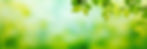AdobeStock_265914756.jpeg
