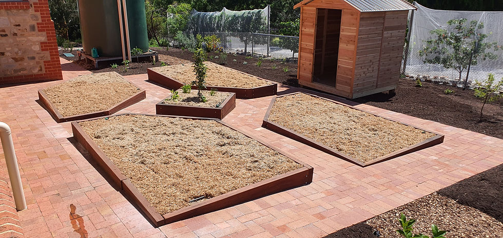 Eden Hills Productive Garden