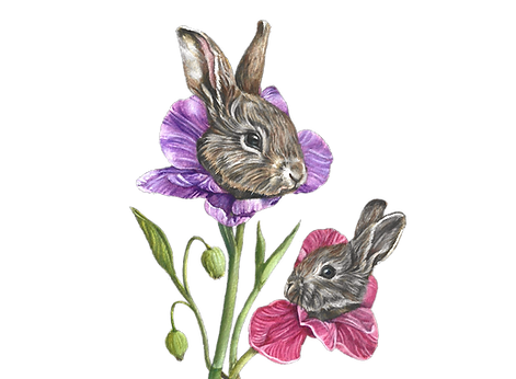 Design sem nome (1)_edited.png