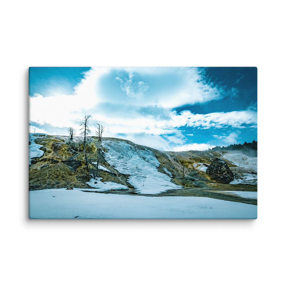 Thumbnail: Mammoth Microorganisms - Gallery Wrapped Canvas
