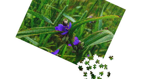 Little Wings - Jigsaw puzzle