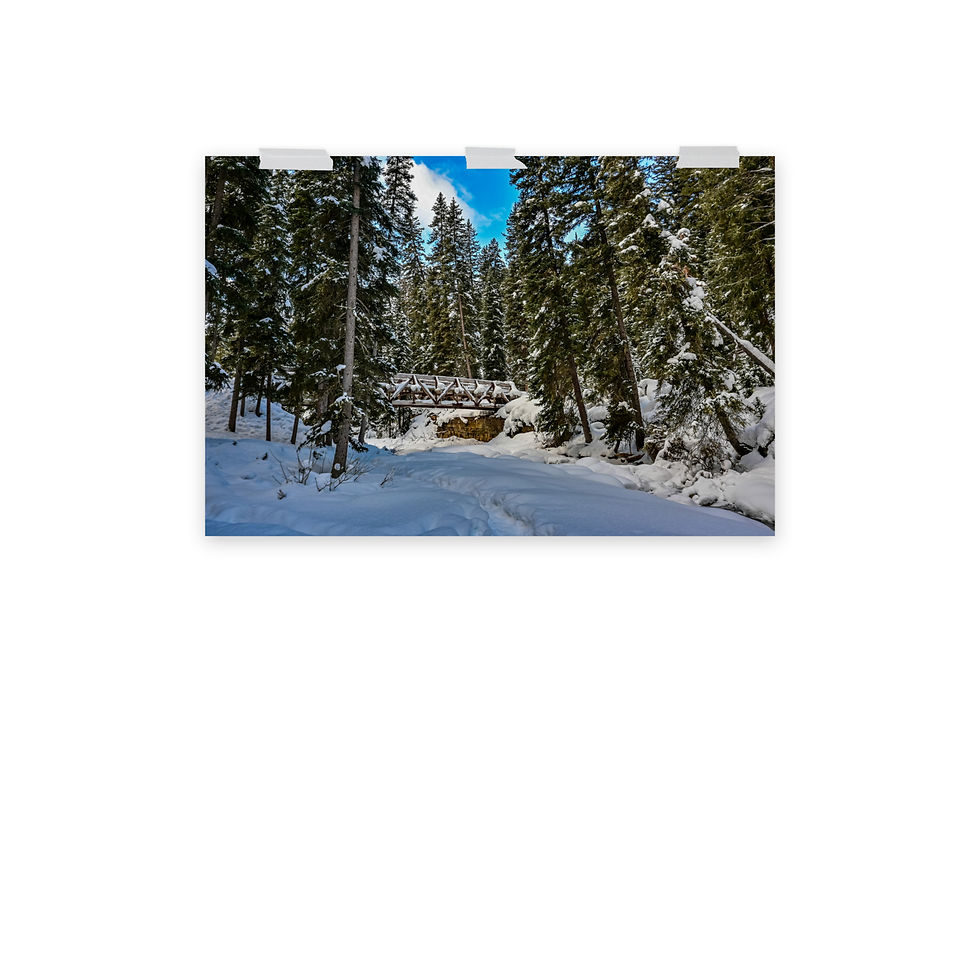 Thumbnail: Snowcovered Creekbed - Fine Art Print