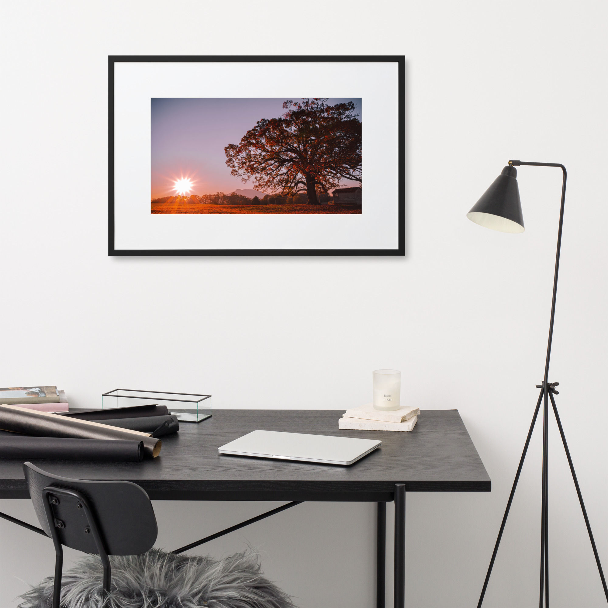 White Oak Sunrise - Framed Print with Mat
