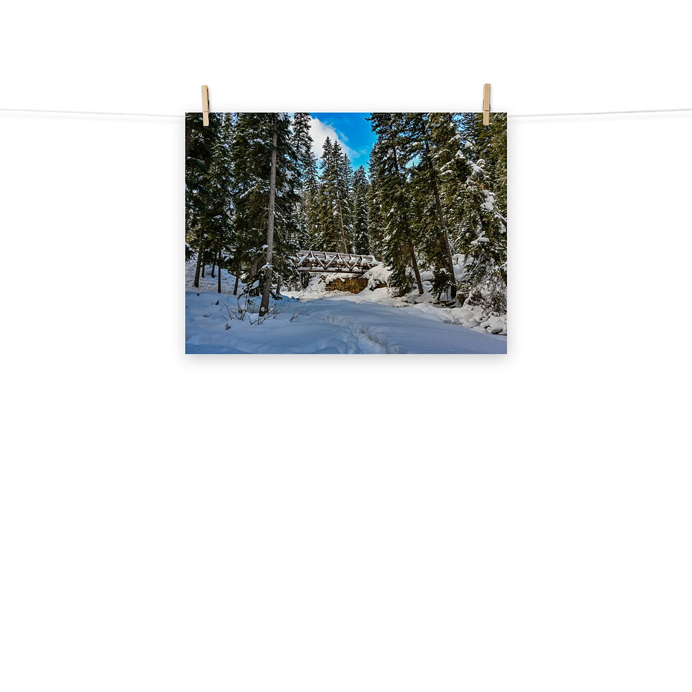 Thumbnail: Snowcovered Creekbed - Fine Art Print