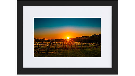 Yadkin Valley Sunset - Framed Print with Mat