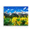Thumbnail: Teton Wild Blooms - Gallery Wrapped Canvas