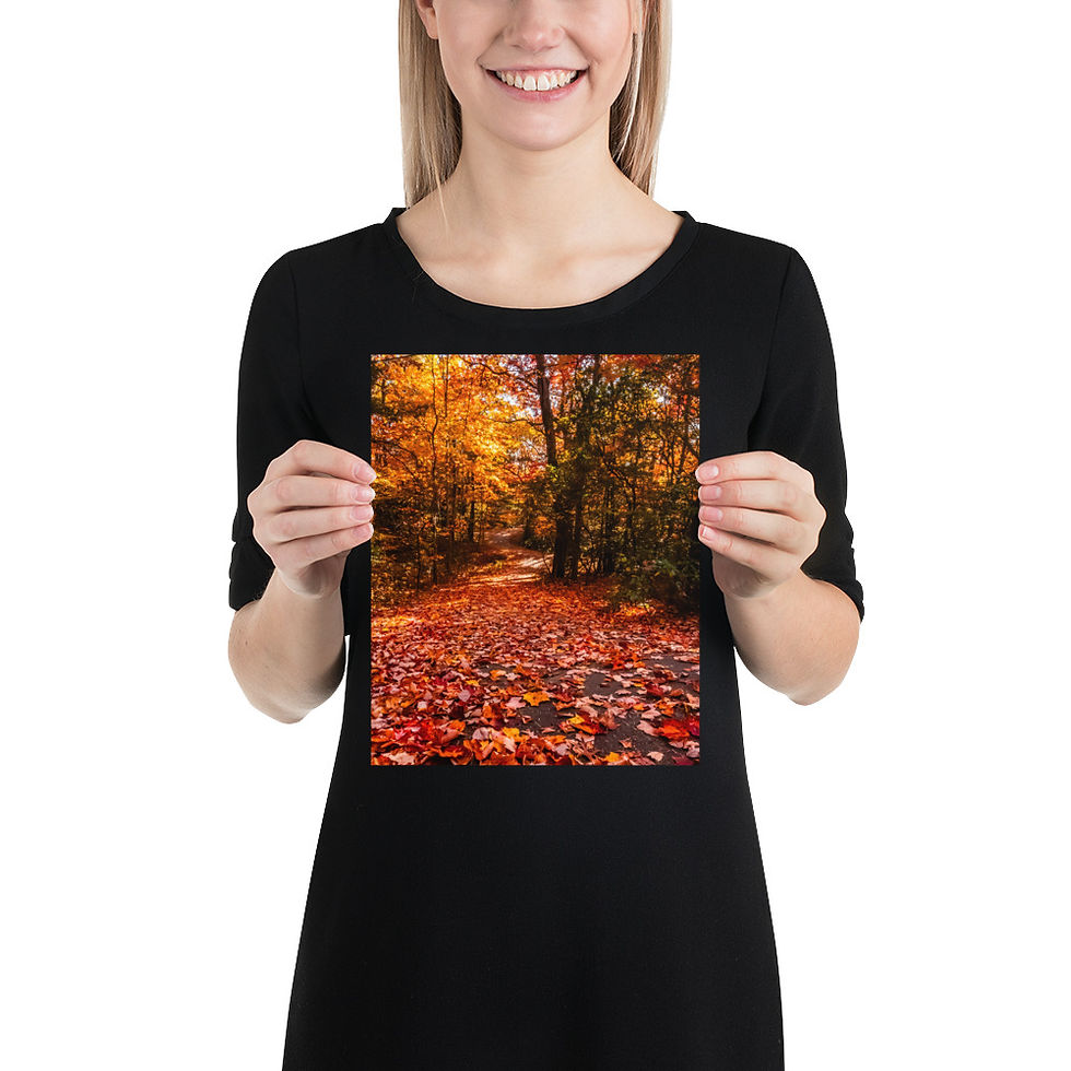 Thumbnail: Wiseman's Path - Fine Art Print