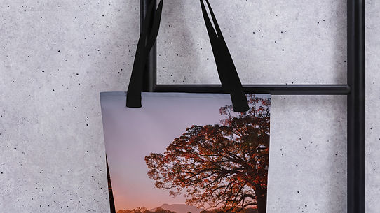 White Oak Sunrise - Tote bag
