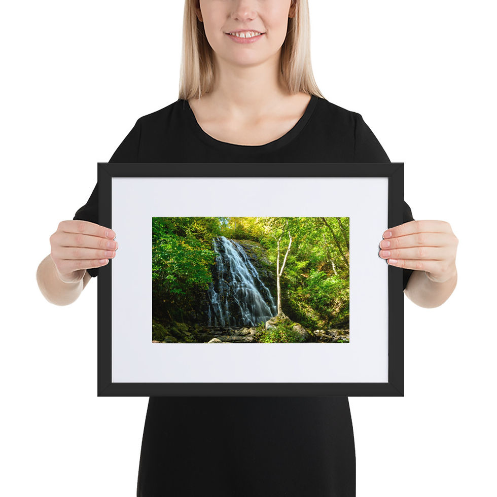 Thumbnail: The Crabtree - Framed Print with Mat