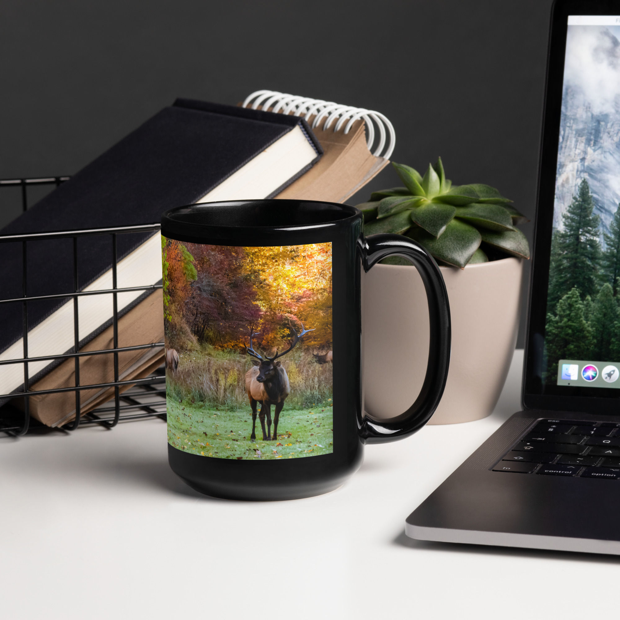 Fall Cataloochee Rut - Black glossy mug