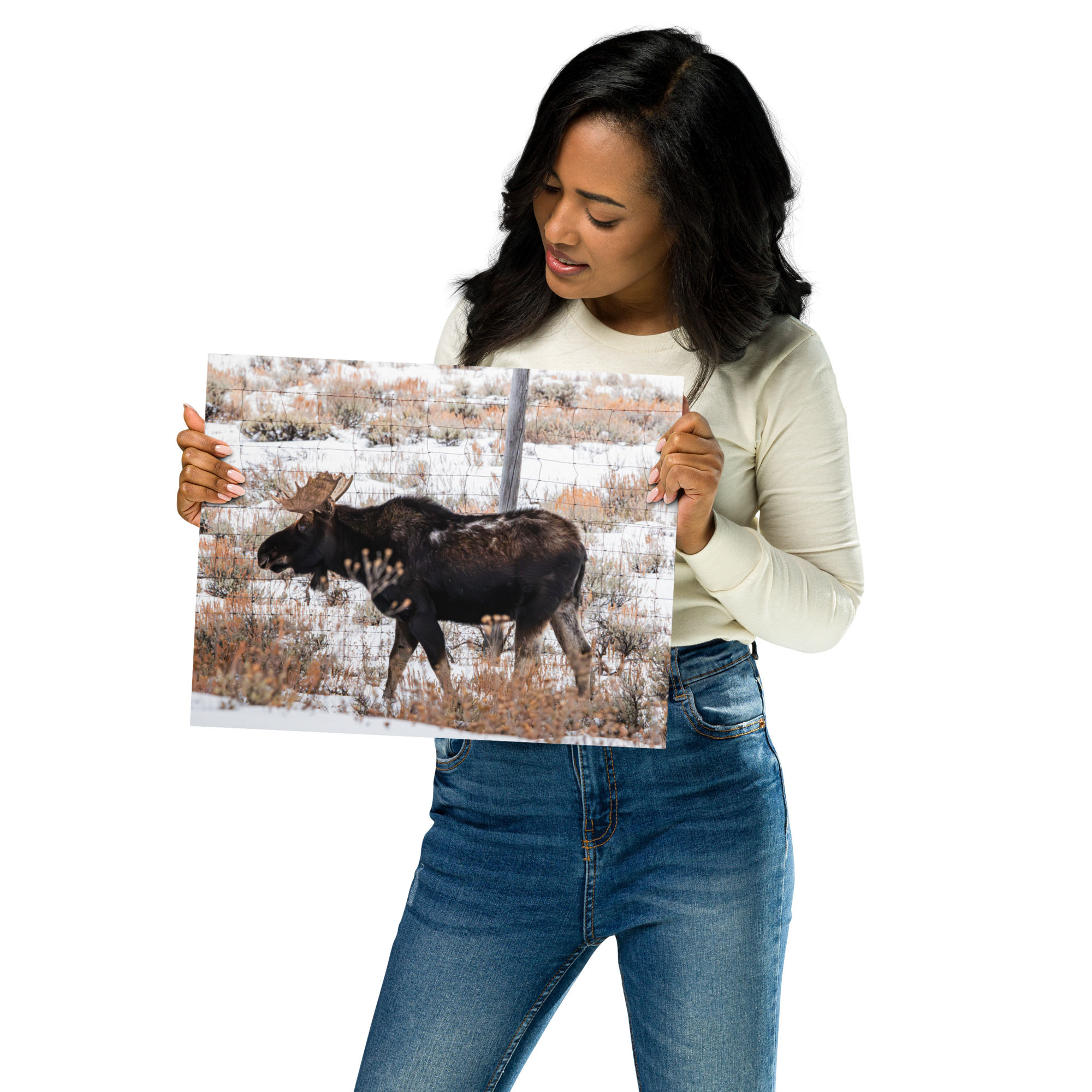Bitterbrush Moose - Metal prints