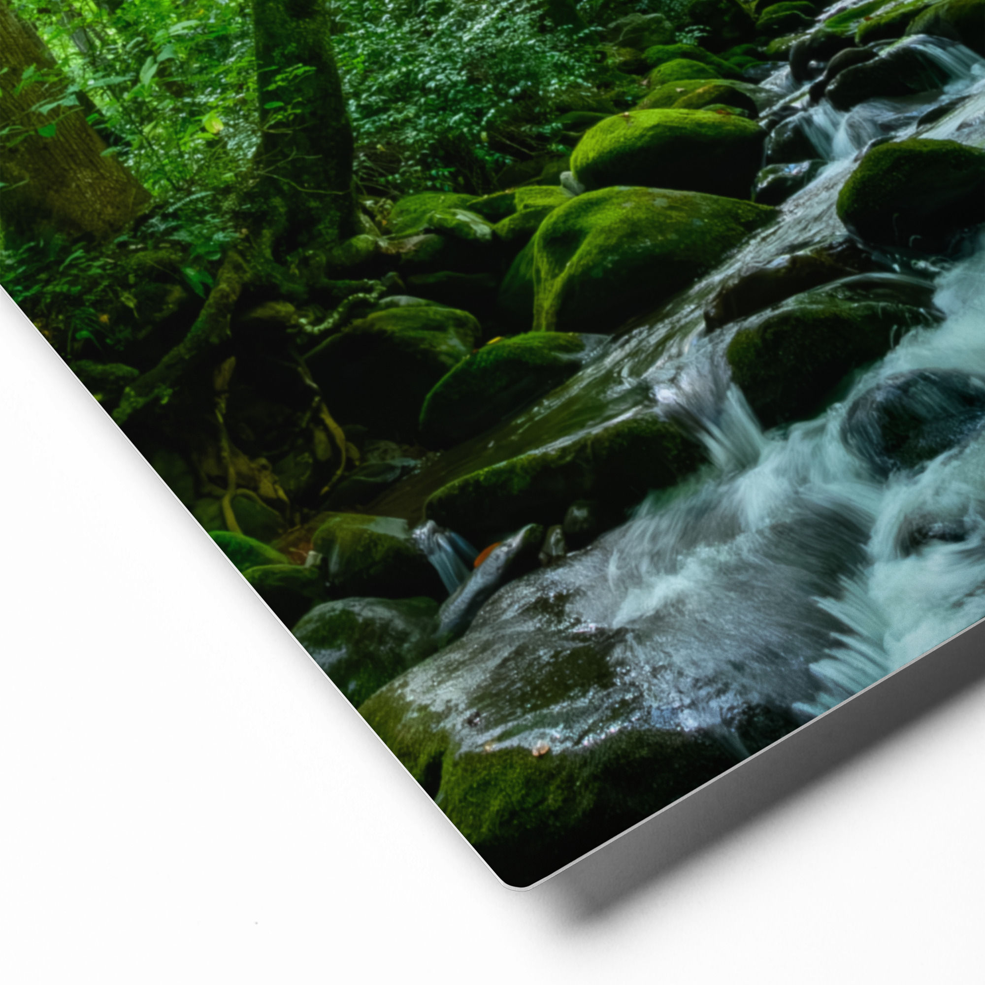 Indian Camp Branch - Metal prints