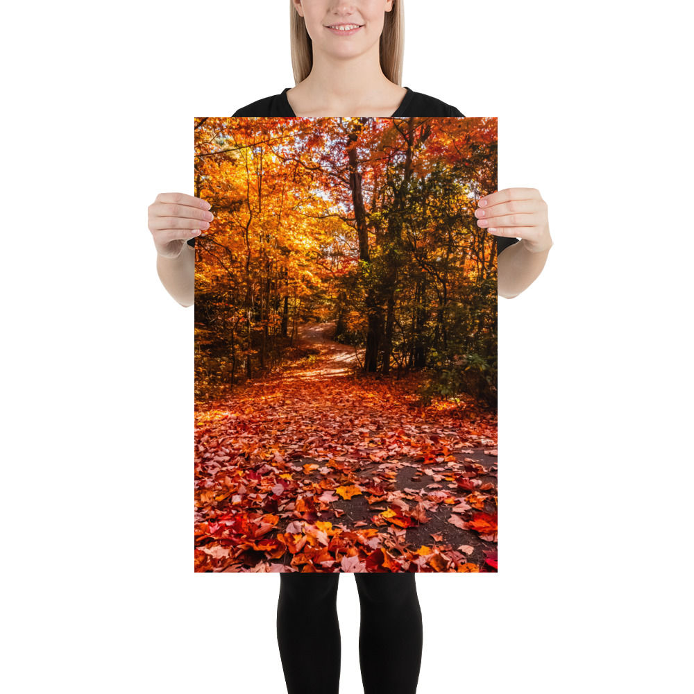 Wiseman's Path - Fine Art Print