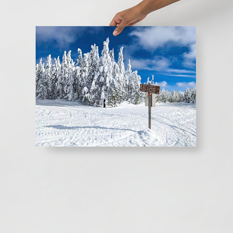 Thumbnail: All Directions Go West - Fine Art Print