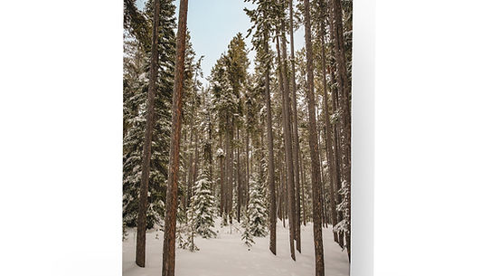 Enchanted Forest - Greeting Card