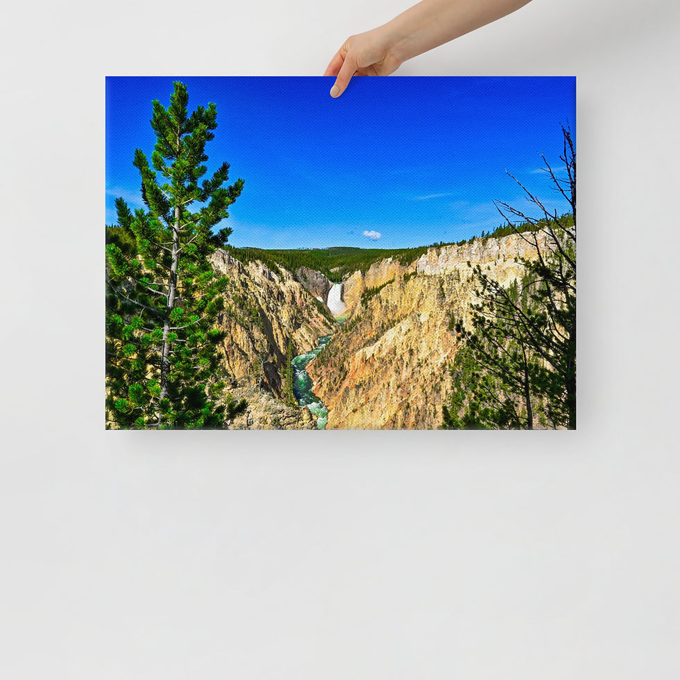 Thumbnail: Artist Point - Gallery Wrapped Canvas
