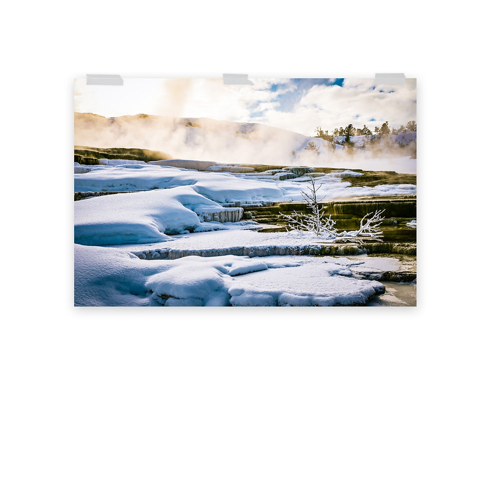Thumbnail: Steamy Mammoth Terrace - Fine Art Print
