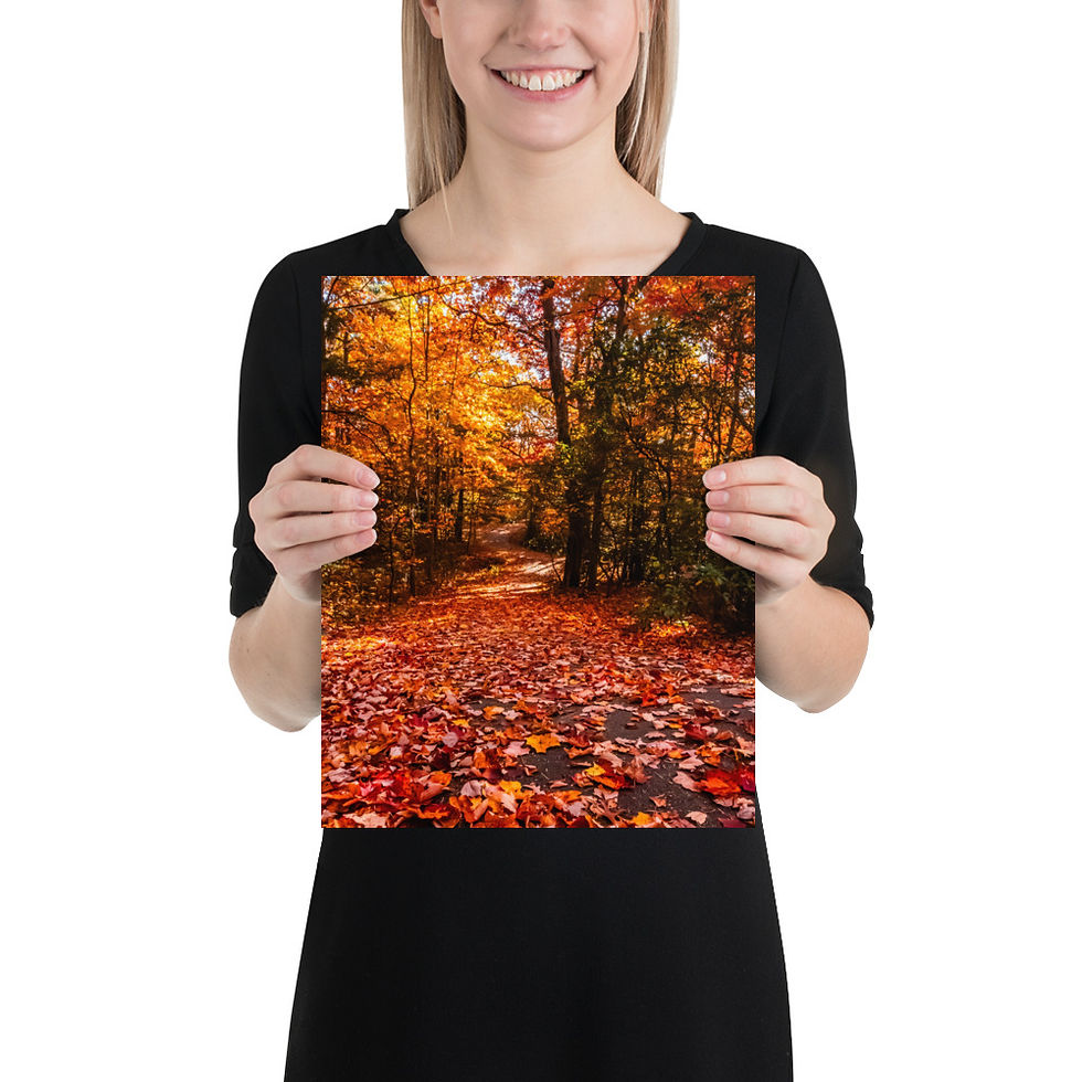 Thumbnail: Wiseman's Path - Fine Art Print