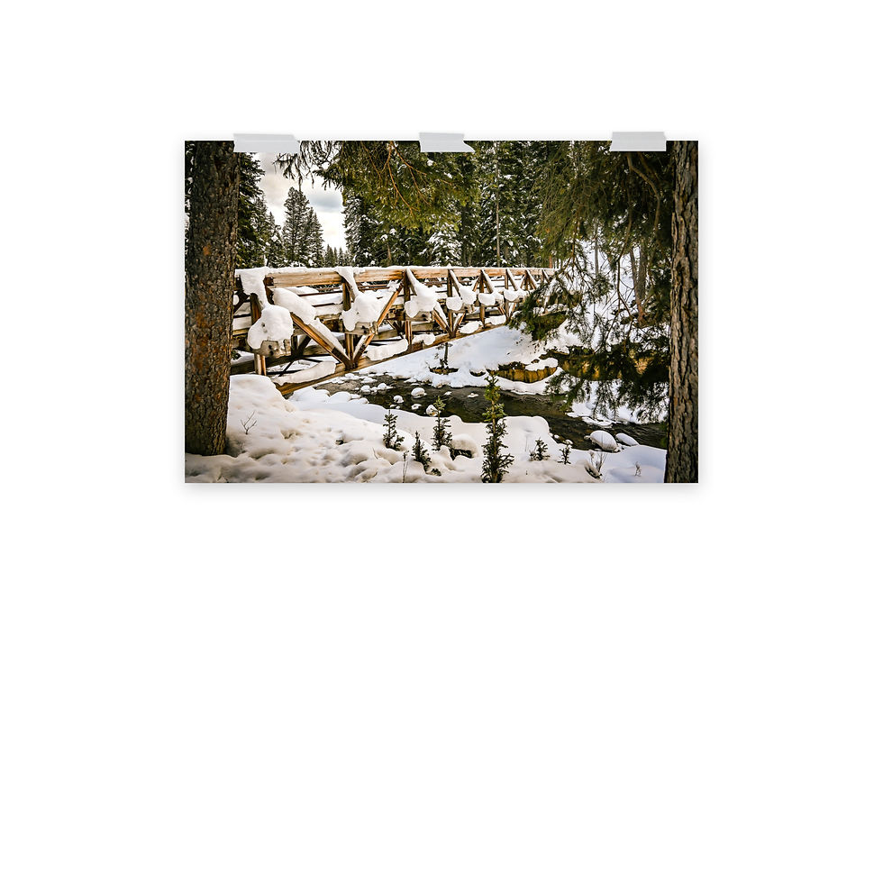 Thumbnail: Snowcapped Bridge - Fine Art Print