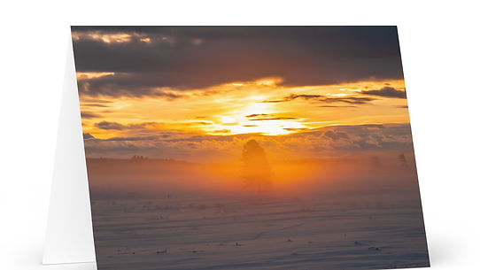 Snowy Morning Spotlight - Greeting Card