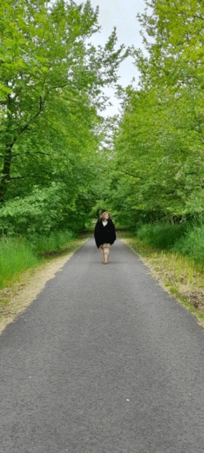 20230606_181522-ANIMATION.gif